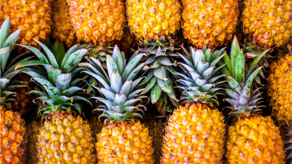 L’exportation d’ananas du Cameroun stagne malgré des opportunités en occident