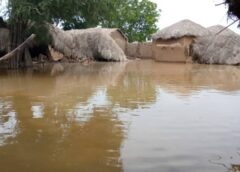 Région de l’Extrême-Nord – Quand le spectre de la crise alimentaire plane