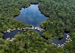 Bassin du Congo