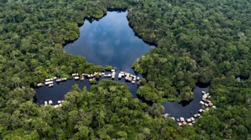 Bassin du Congo