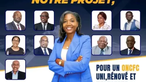 Ordre National des Conseils Fiscaux du Cameroun